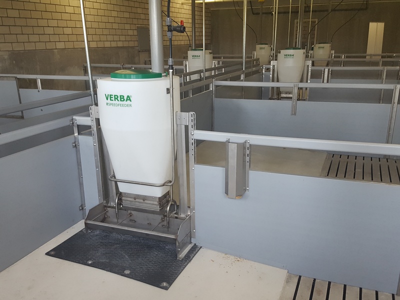 Speedfeeder 80 vleesvarkens voerbak Varkens voerbak Speedfeeder 80 ingebouwd