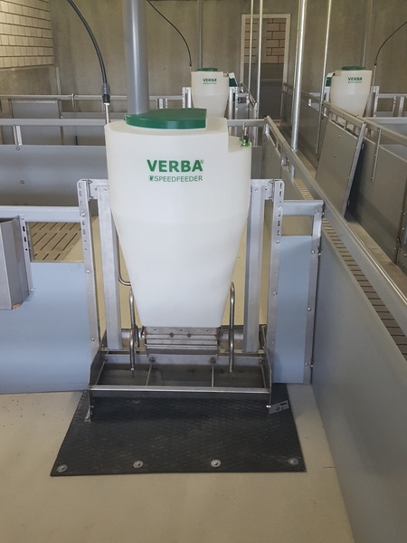 Speedfeeder 80 vleesvarkens voerbak Varkens voerbak Speedfeeder 80