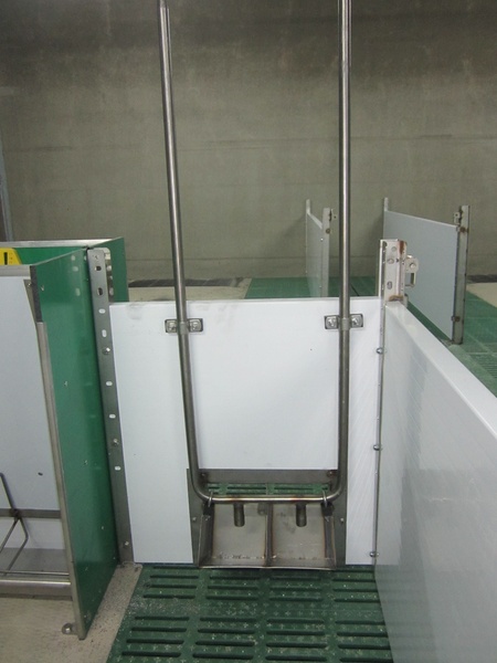 Duodrinker 2x2 met circulatieleiding 2 vaks duo drinker met circulatie leiding