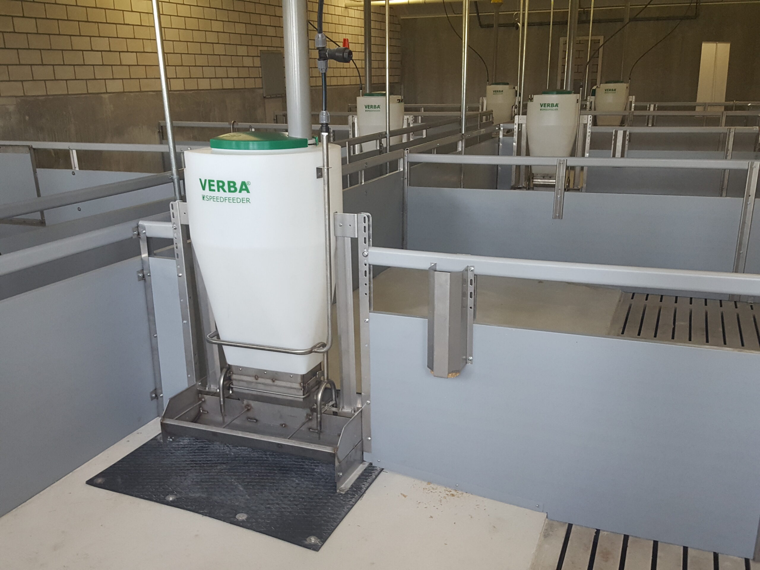 Speedfeeder 60 varkens voerbak