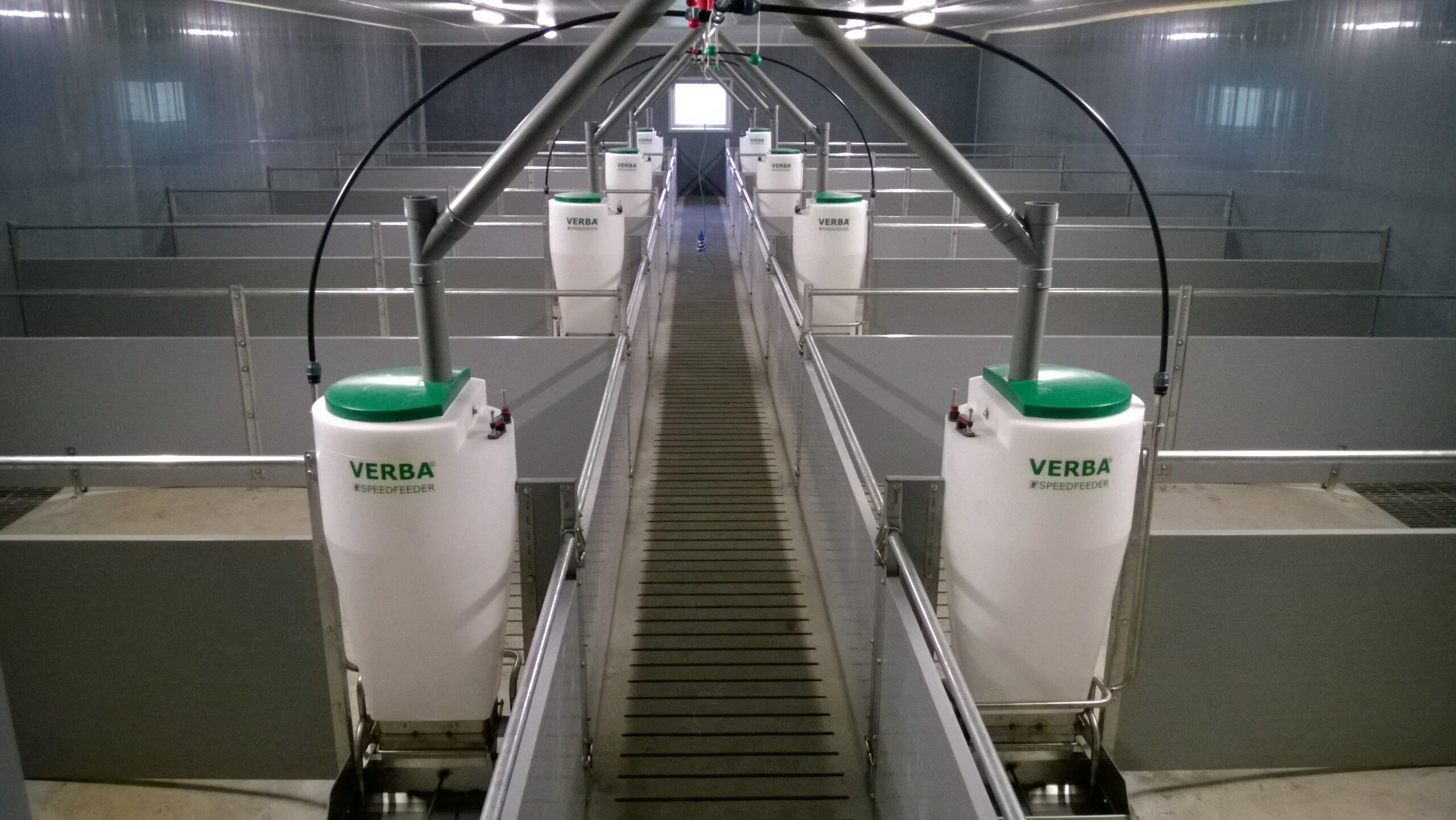 Speedfeeder 50 varkens voerbakken