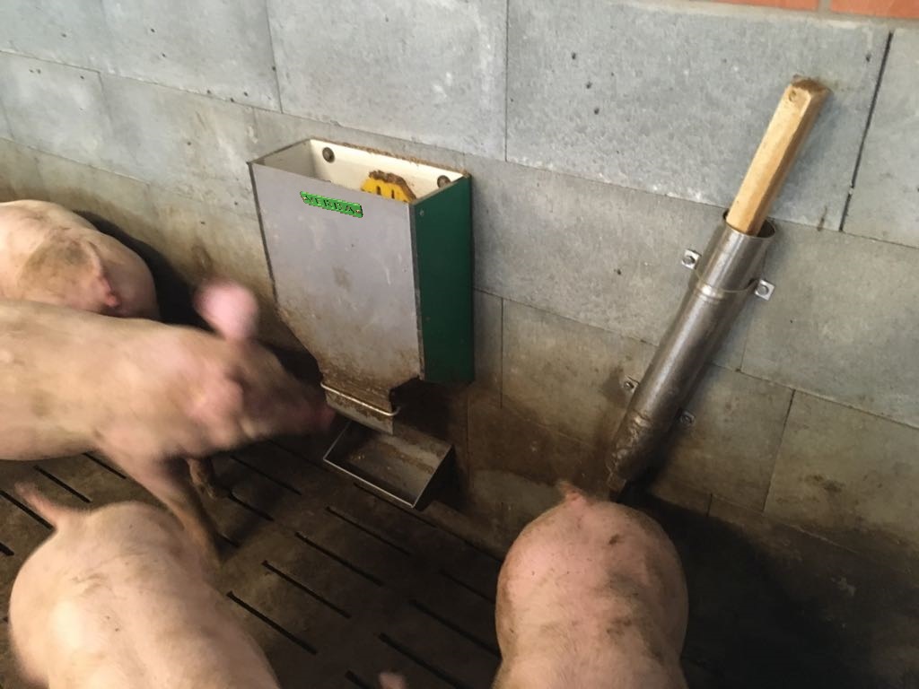 dosator voor stropellets biggen en vleesvarkens