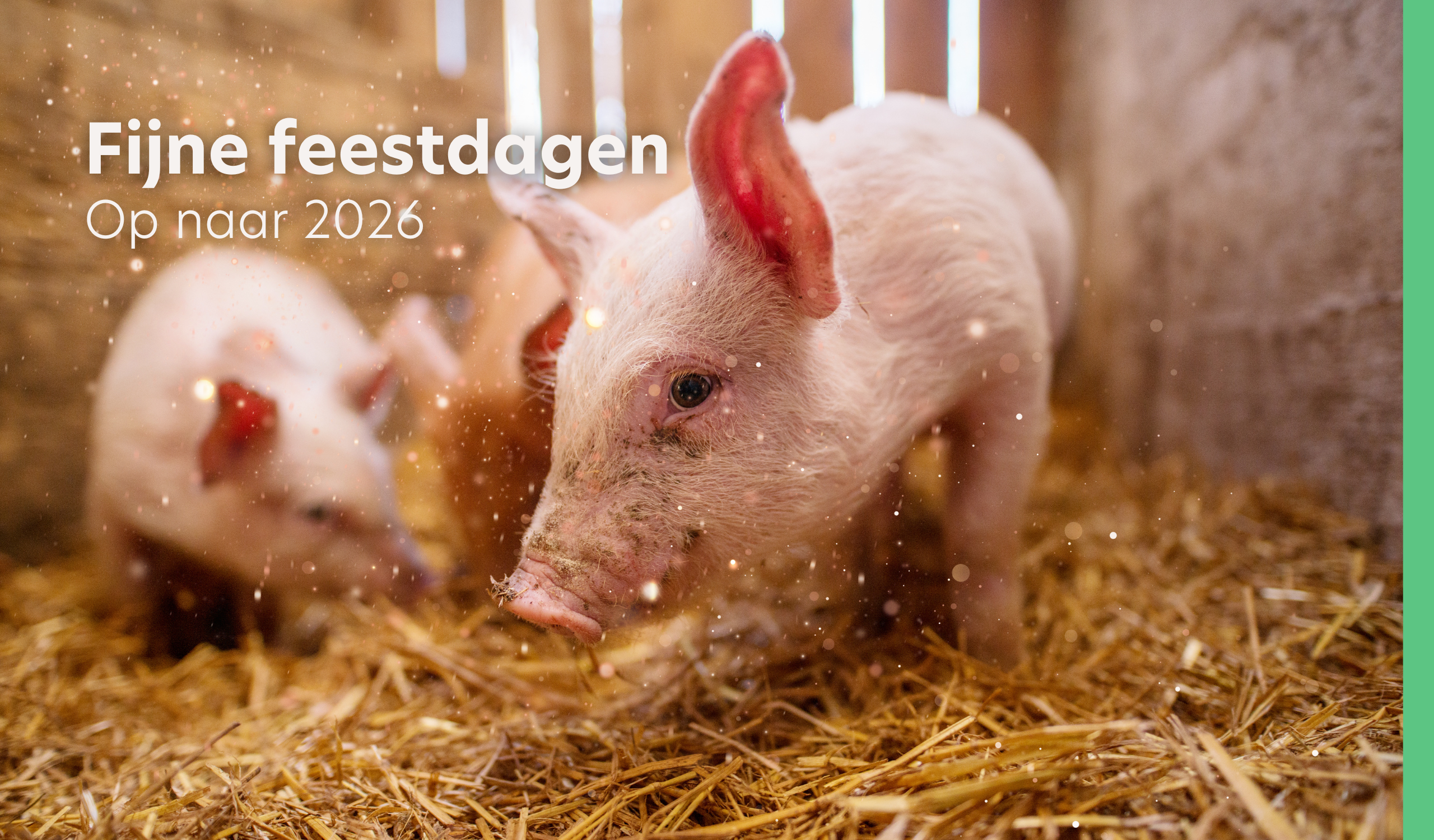 VERBA wenst je fijne feestdagen!